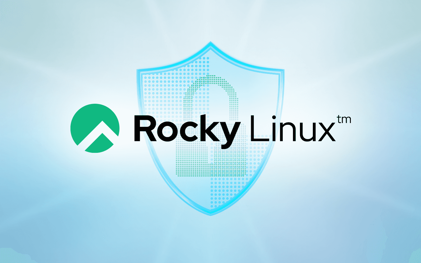 Rocky Linux Security and CVE Tools