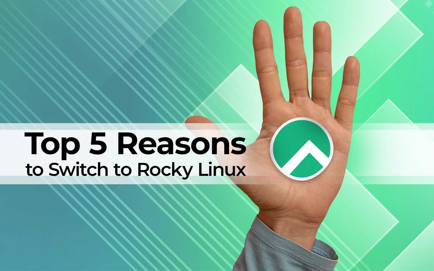 Top 5 Reasons to Switch to Rocky Linux